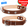Ошейники для всех пород
