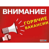 Требуется координатор по qa/qc и главный бухгалтер