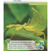 Группа readers 3 английский amazing mini beasts