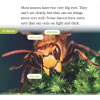 Группа readers 3 английский amazing mini beasts